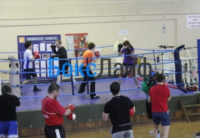 trenirovka-boks-spb (41)