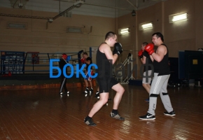 trenirovka-boks-spb (8)